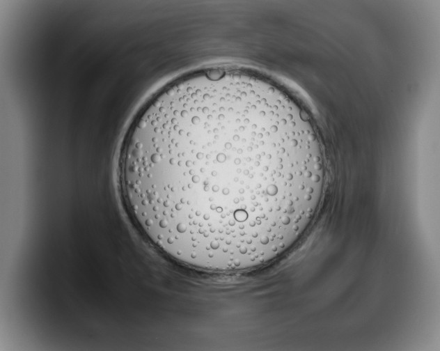 X0000100311279200806051321