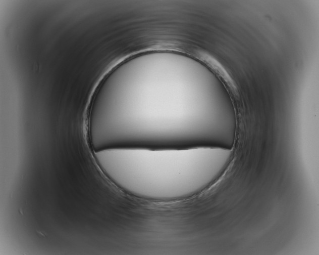 X0000100311284200806051321