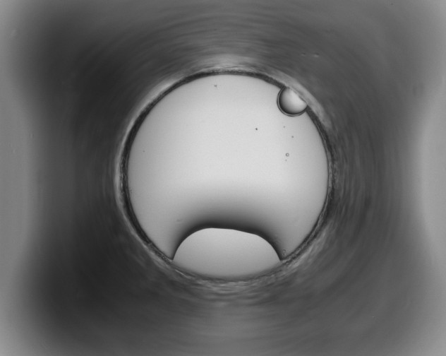 X0000100311285200806051320
