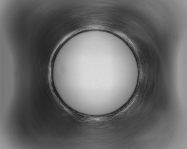 X0000100311286200806051320