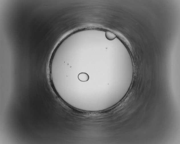 X0000100311287200806051320