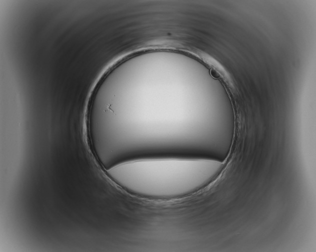 X0000100311288200806051320