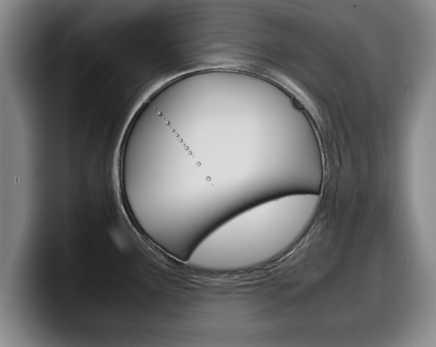 X0000100311291200806051320