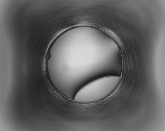 X0000100311292200806051320