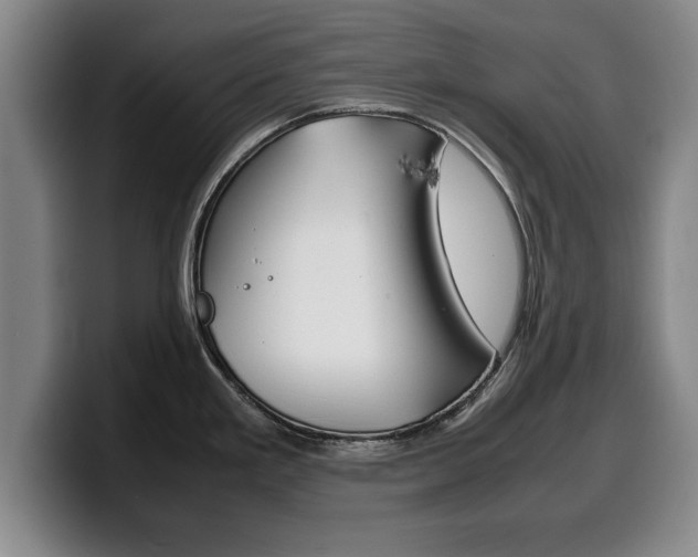 X0000100311293200806051320