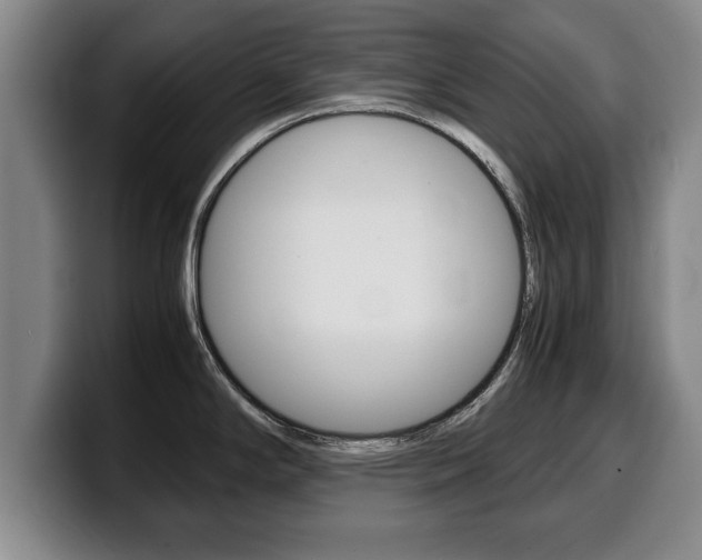 X0000100311294200806051320