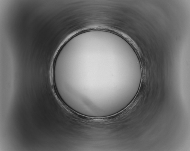X0000100311295200806051320