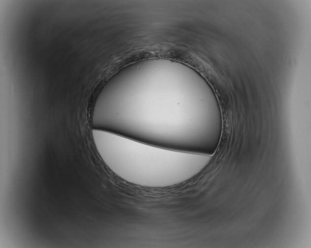 X0000100311298200806051320