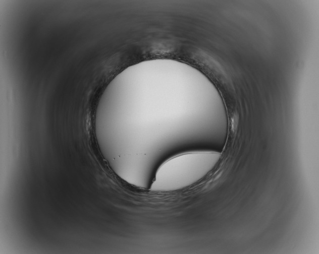 X0000100311299200806051320