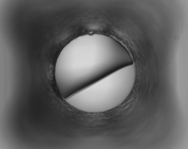 X0000100311301200806051320