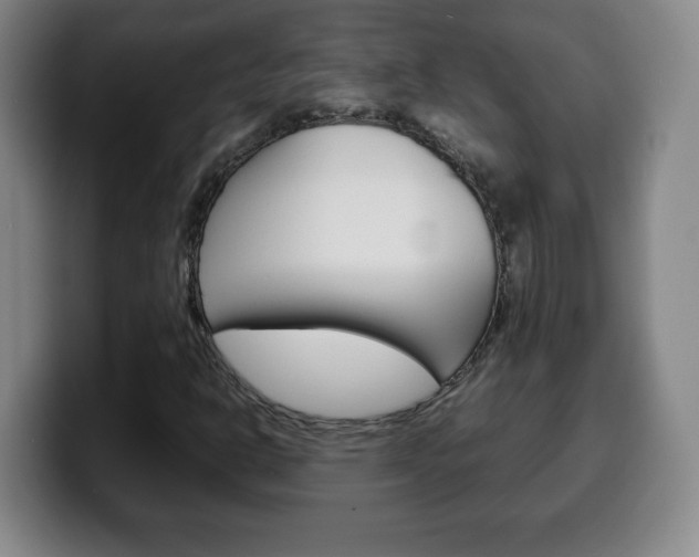 X0000100311302200806051320