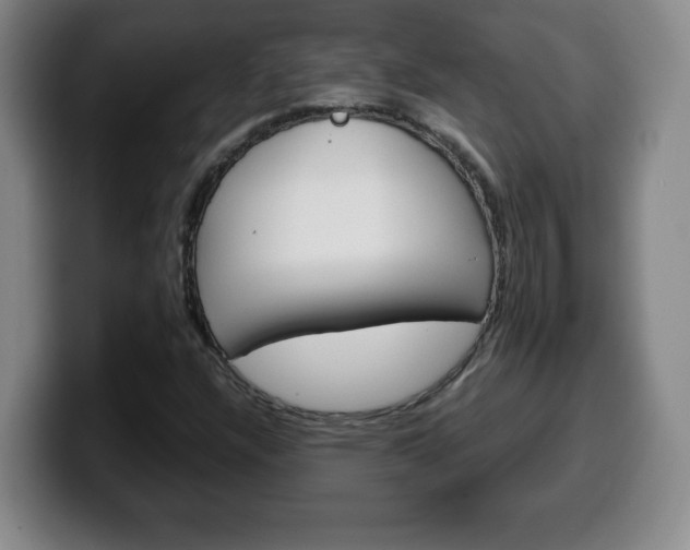 X0000100311304200806051320