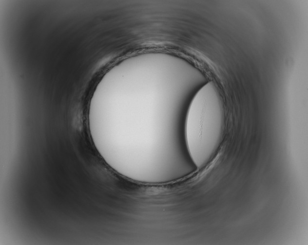 X0000100311306200806051320