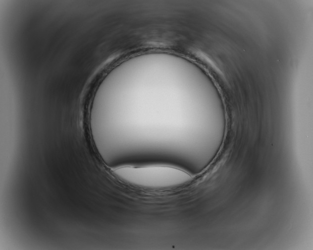 X0000100311307200806051320