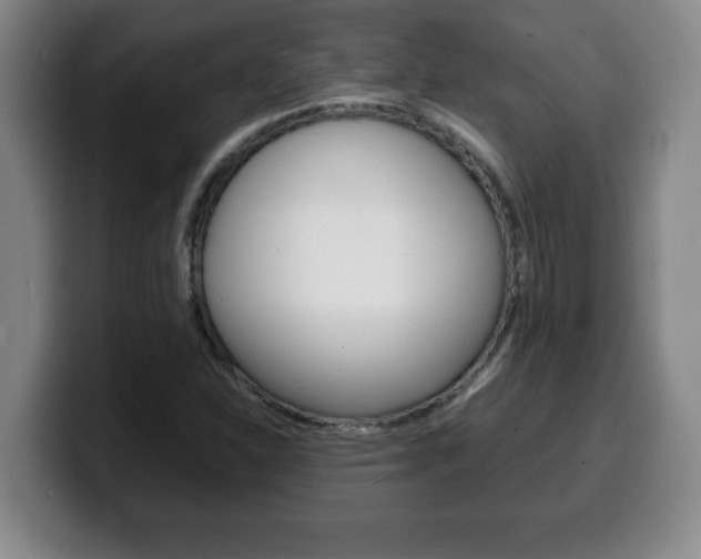 X0000100311310200806051320