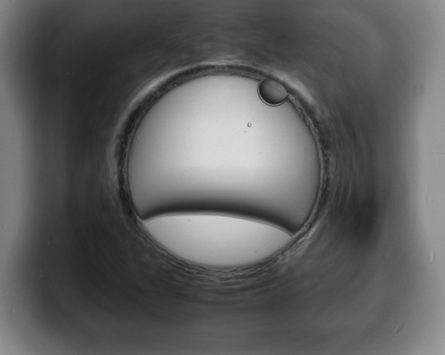 X0000100311311200806051320