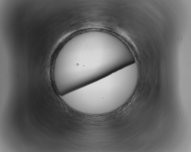 X0000100311312200806051320