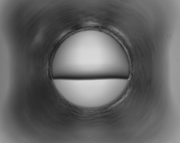 X0000100311313200806051320