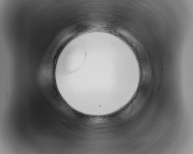 X0000100311314200806051320