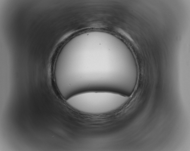 X0000100311315200806051320