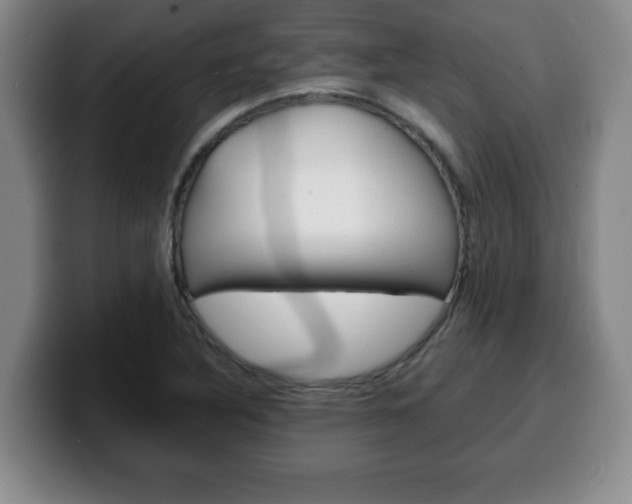 X0000100311316200806051320