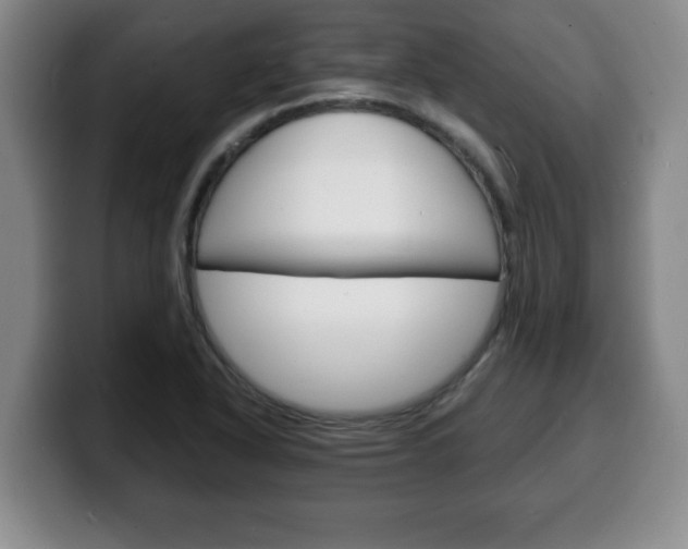 X0000100311318200806051320