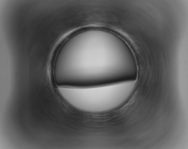 X0000100311319200806051320