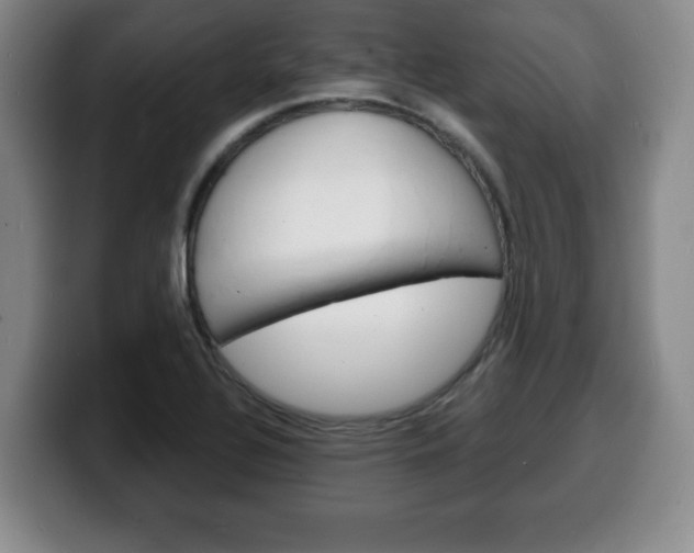 X0000100311320200806051320