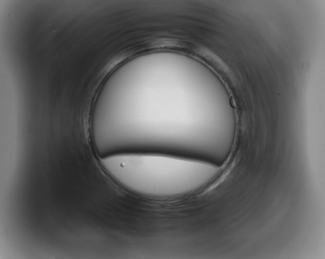 X0000100311321200806051320