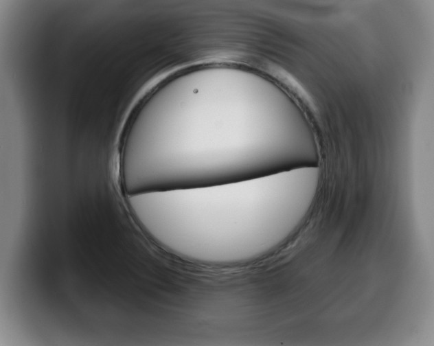 X0000100311324200806051320