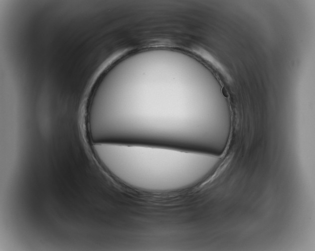 X0000100311325200806051320