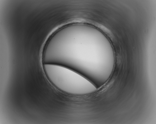 X0000100311326200806051320