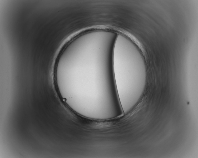 X0000100311327200806051320