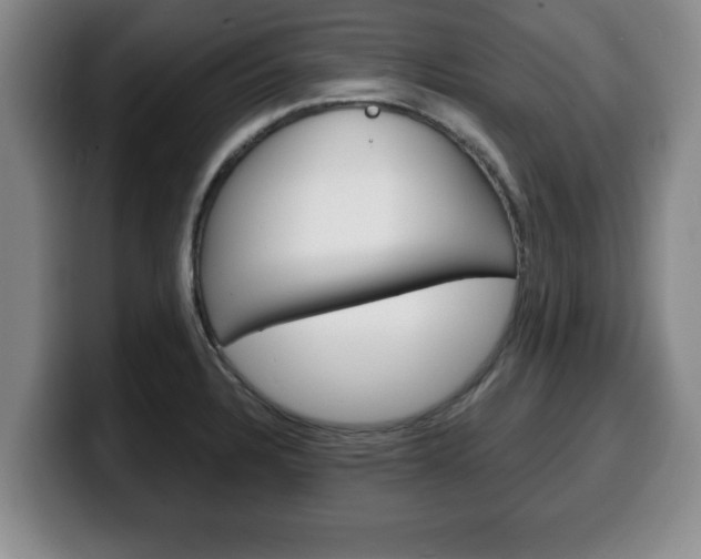 X0000100311328200806051320