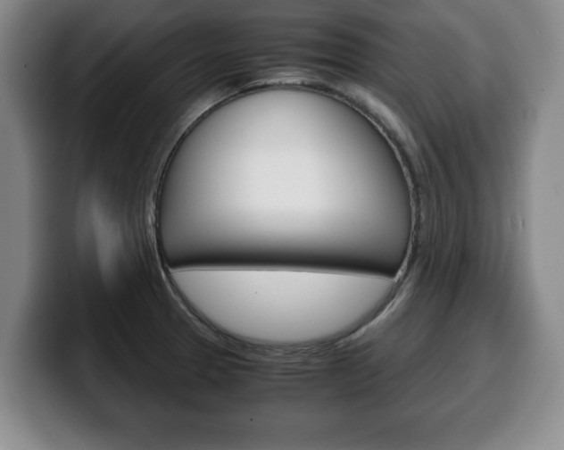 X0000100311329200806051320