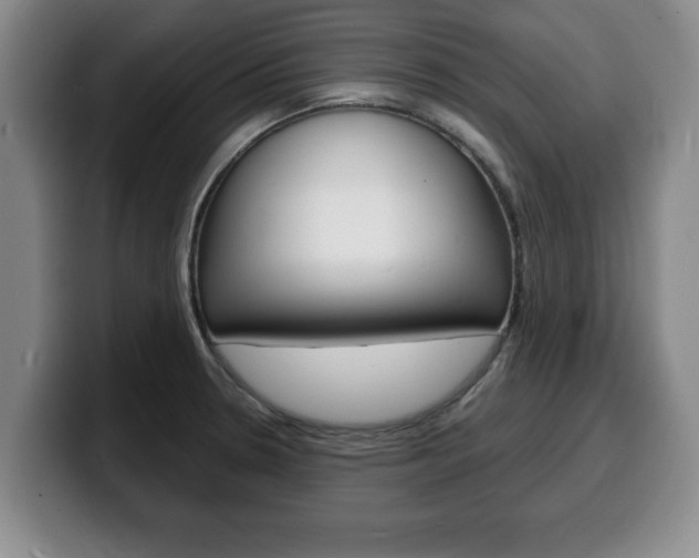 X0000100311330200806051320