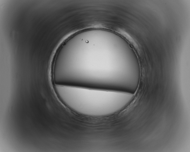 X0000100311331200806051320
