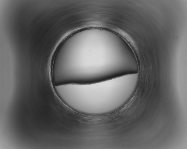 X0000100311334200806051320