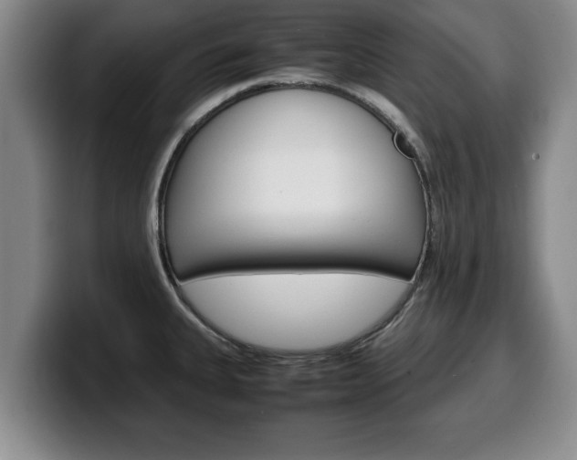 X0000100311335200806051320