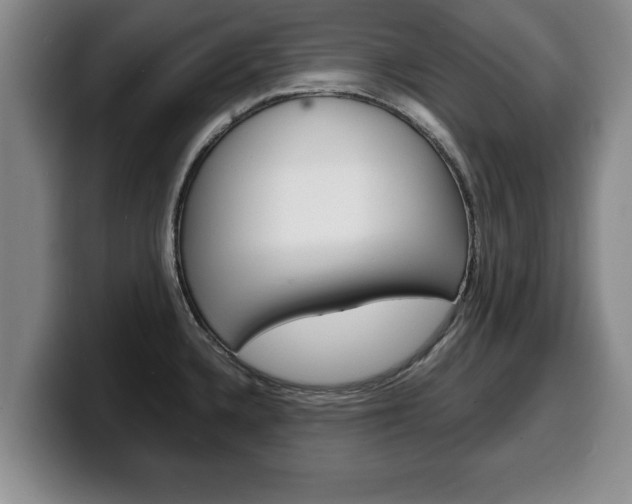 X0000100311336200806051320