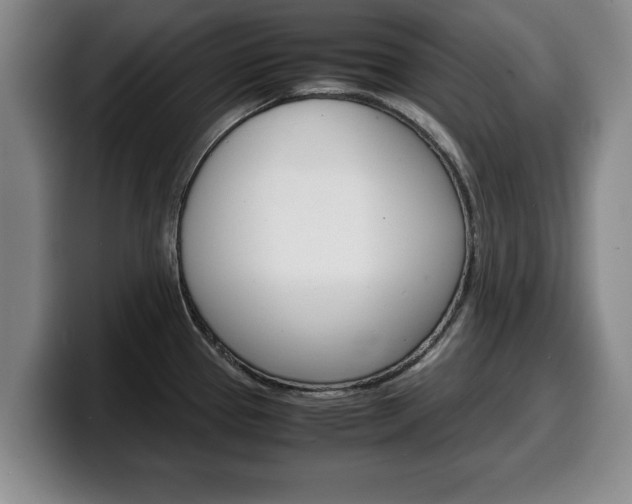 X0000100311337200806051320