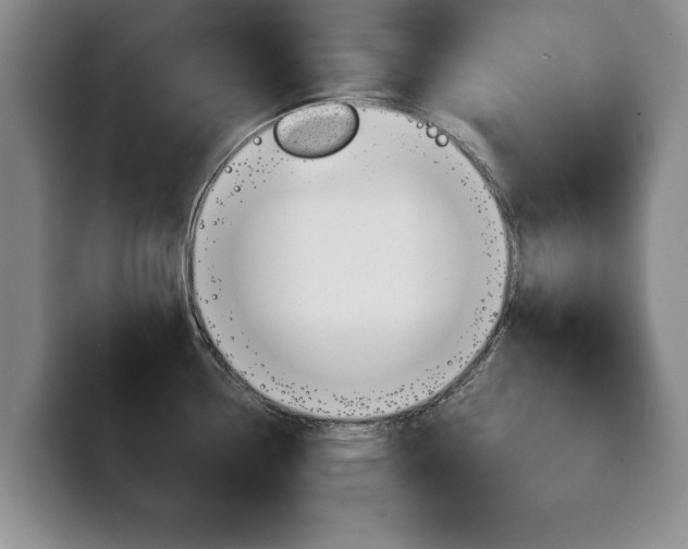 X0000100311338200806051320