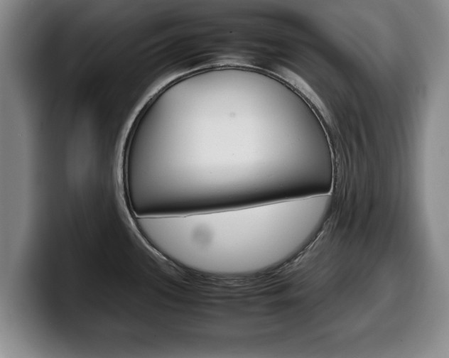 X0000100311339200806051320