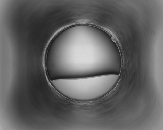 X0000100311342200806051320