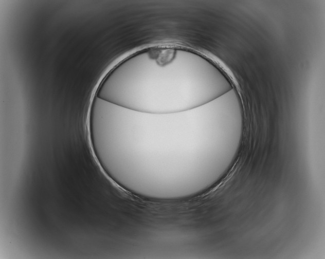 X0000100311343200806051320