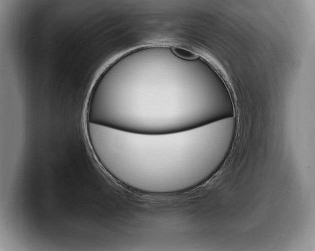 X0000100311344200806051320