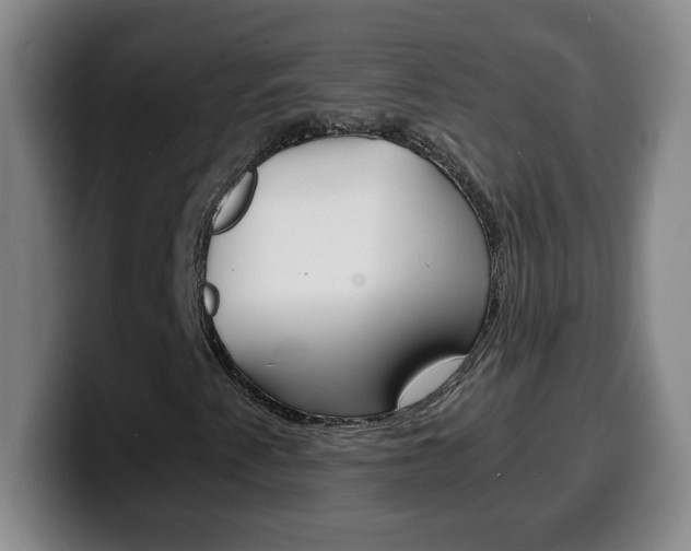 X0000100311345200806051320
