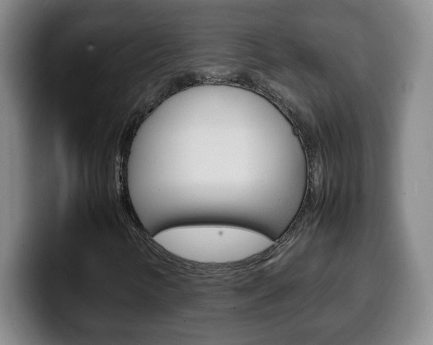 X0000100311346200806051320