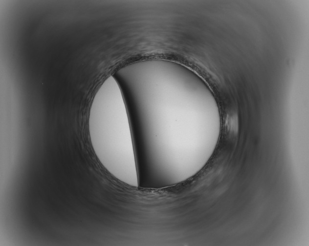 X0000100311348200806051320