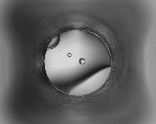 X0000100311349200806051320